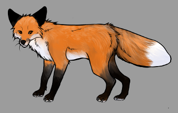 Red Fox Colour Mutations