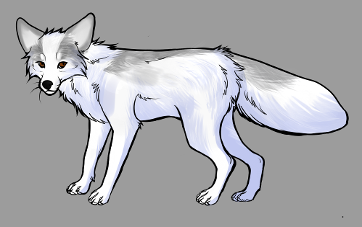 Red Fox Colour Mutations -Silver Marble Platinum