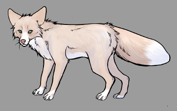 Red Fox Colour Mutations - Pink Whitemark