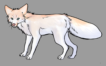 Red Fox Colour Mutations - Pink Marble