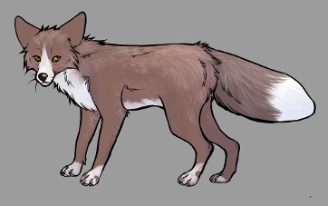 Red Fox Colour Mutations - Amber Pearl Whitemark