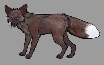 Red Fox Colour Mutations - Pastel Fox