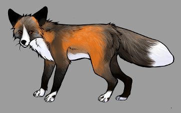 Red Fox Colour Mutations - Cross Whitemark