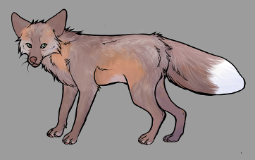 Red Fox Colour Mutations - Amber Cross