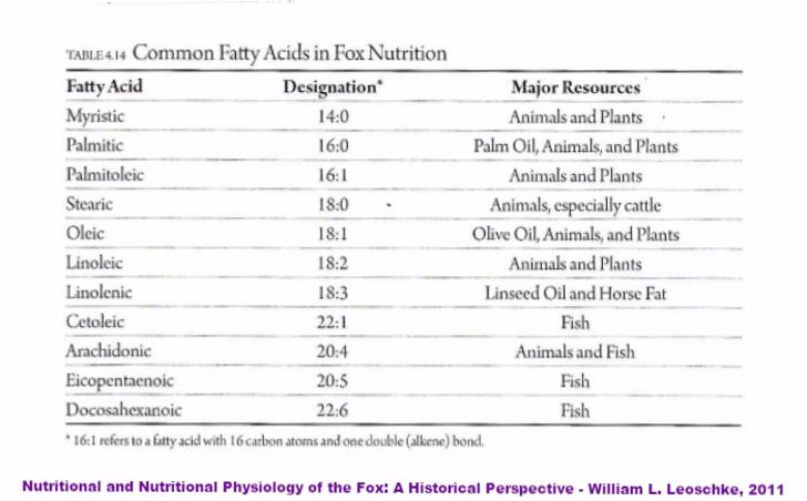 Energy Requirements of the Fox