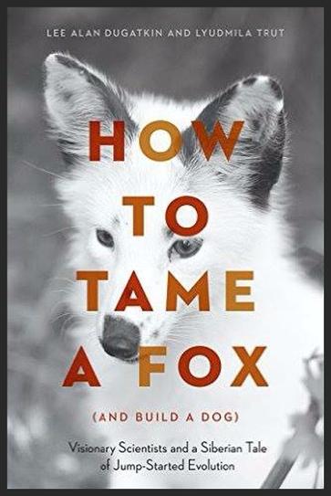 How to Tame a Fox (And Build a Dog)
