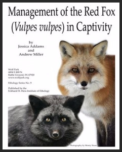 Management of the Red Fox in Captivity