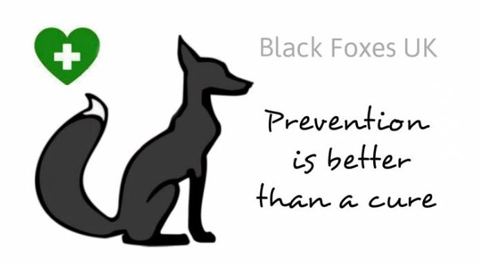 Black Foxes UK