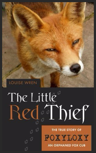 The Little Red Thief