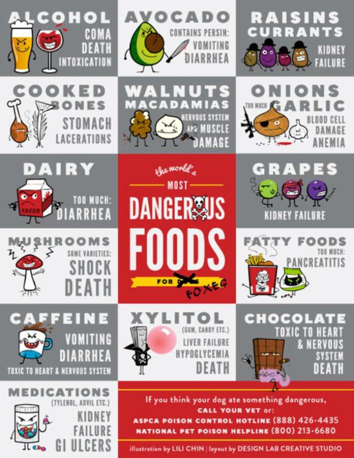Food dangerous for foxes